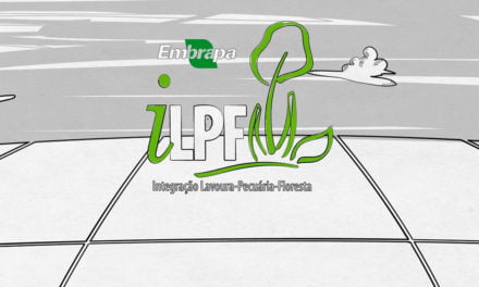 Animação explica porque o sistema de integração lavoura-pecuária-floresta é mais sustentável que os sistemas convencionais