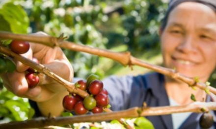 O importante papel das mulheres no desenvolvimento rural