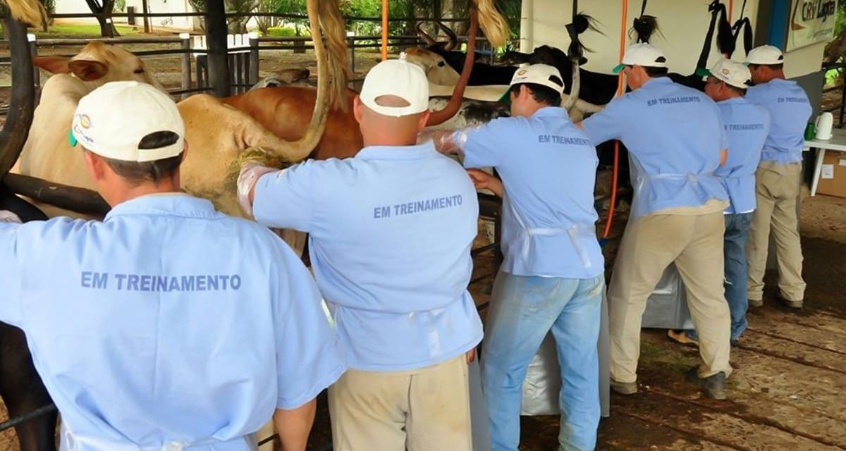 Piracanjuba pró-campo oferece cursos gratuitos para produtores rurais