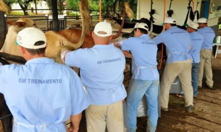 Piracanjuba pró-campo oferece cursos gratuitos para produtores rurais