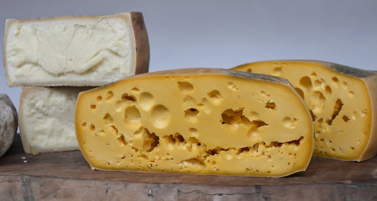 Fabricação de queijos processados e requeijão cremoso é tema de curso em Campinas