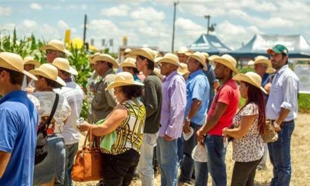 Showtec 2017: Senar/MS organiza visita de caravanas com produtores e técnicos