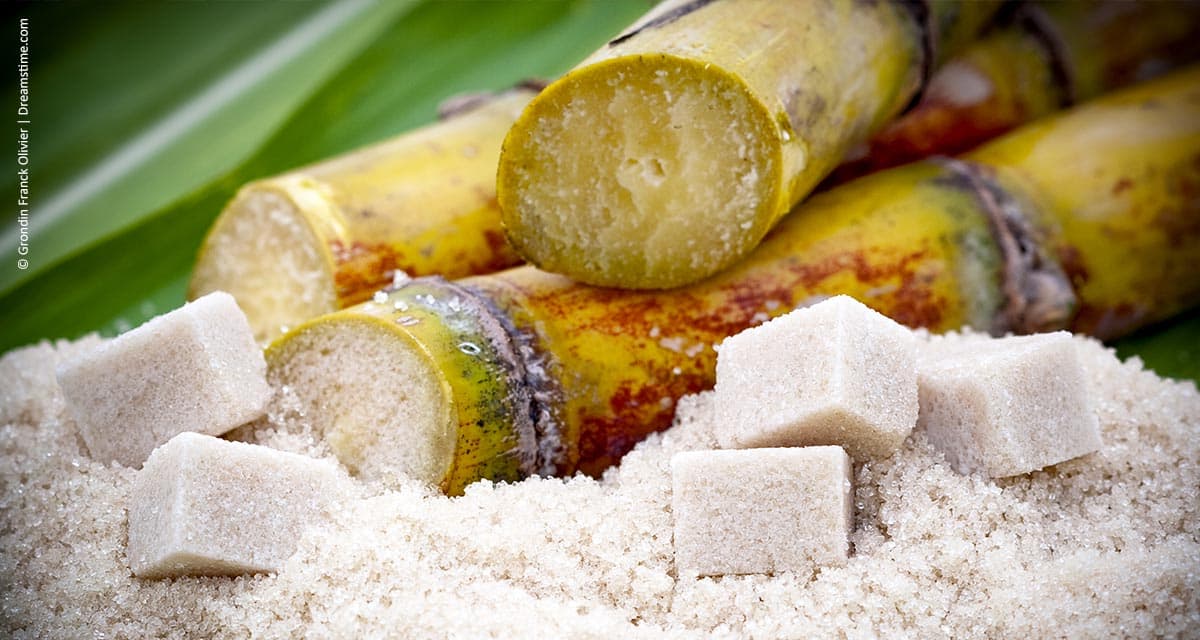 Açúcar, etanol e bioeletricidade: a importância de não perder oportunidades • Plinio M. Nastari