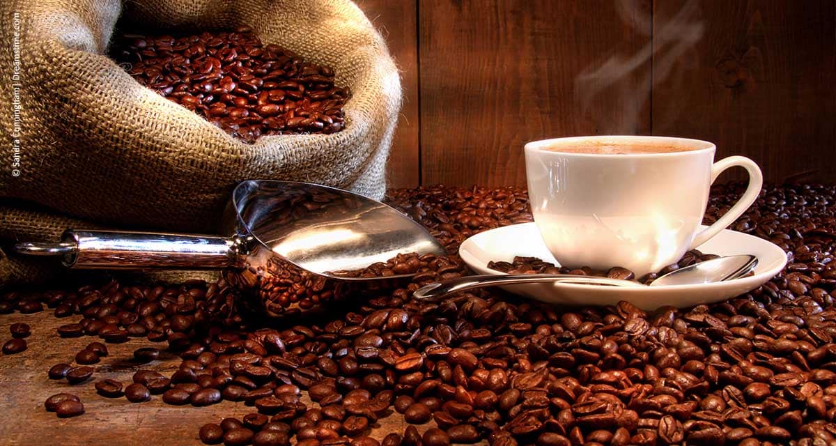 Importação brasileira de café faz oscilarem as curvas futuras