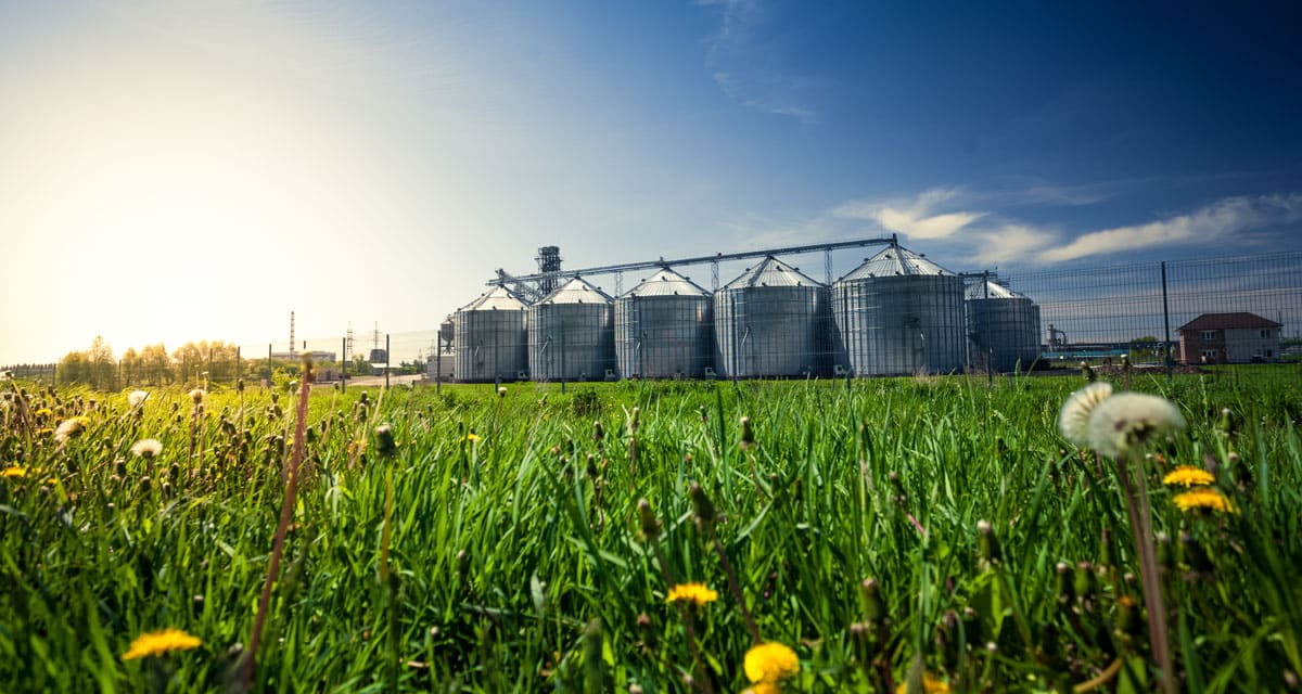 Exportação de cooperativas agropecuárias paulistas chega a US$1,14 bi