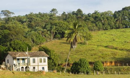 Hoje proprietário. E amanhã?