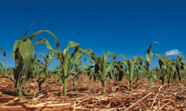 Agricultura sem parar