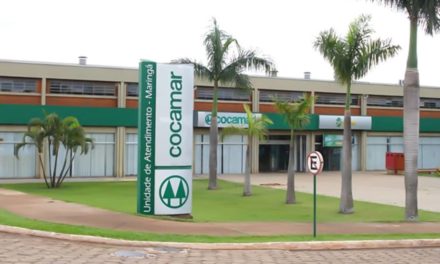 Pequenos negócios crescem ao fornecer  produtos à cooperativa agrícola