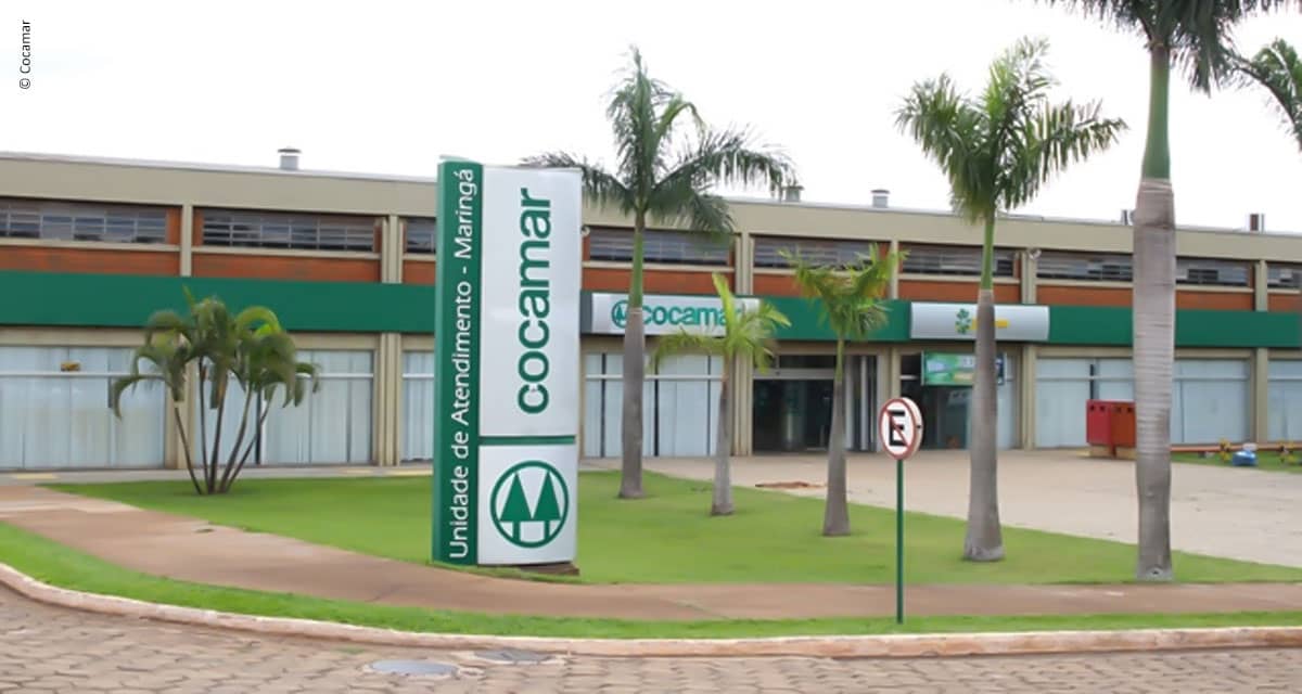 Pequenos negócios crescem ao fornecer  produtos à cooperativa agrícola