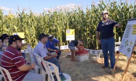 Encontro de milho safrinha em Guaíra atualiza técnicos e produtores sobre tecnologia e aumento de produtividade