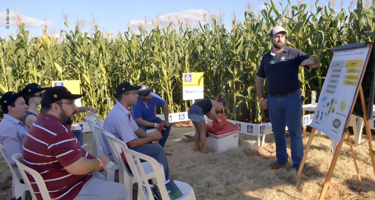 Encontro de milho safrinha em Guaíra atualiza técnicos e produtores sobre tecnologia e aumento de produtividade