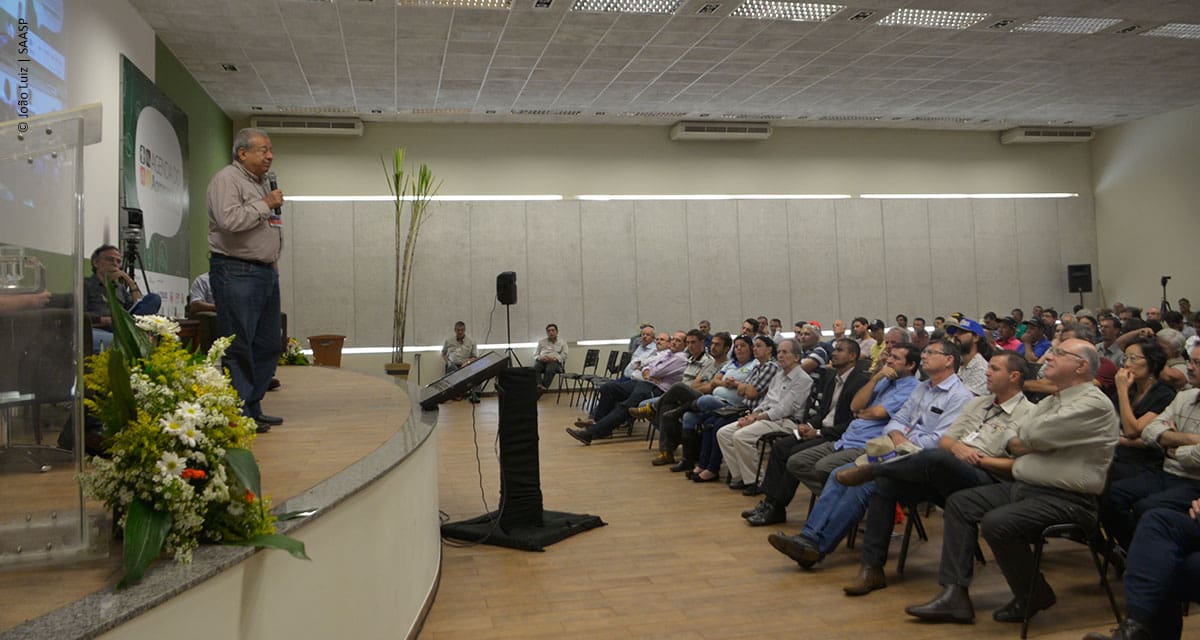 Especialistas debatem o futuro do produtor de pequeno porte