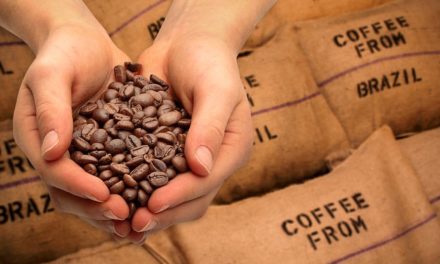 Receita cambial das exportações de café brasileiro cresceu 2,7% em abril