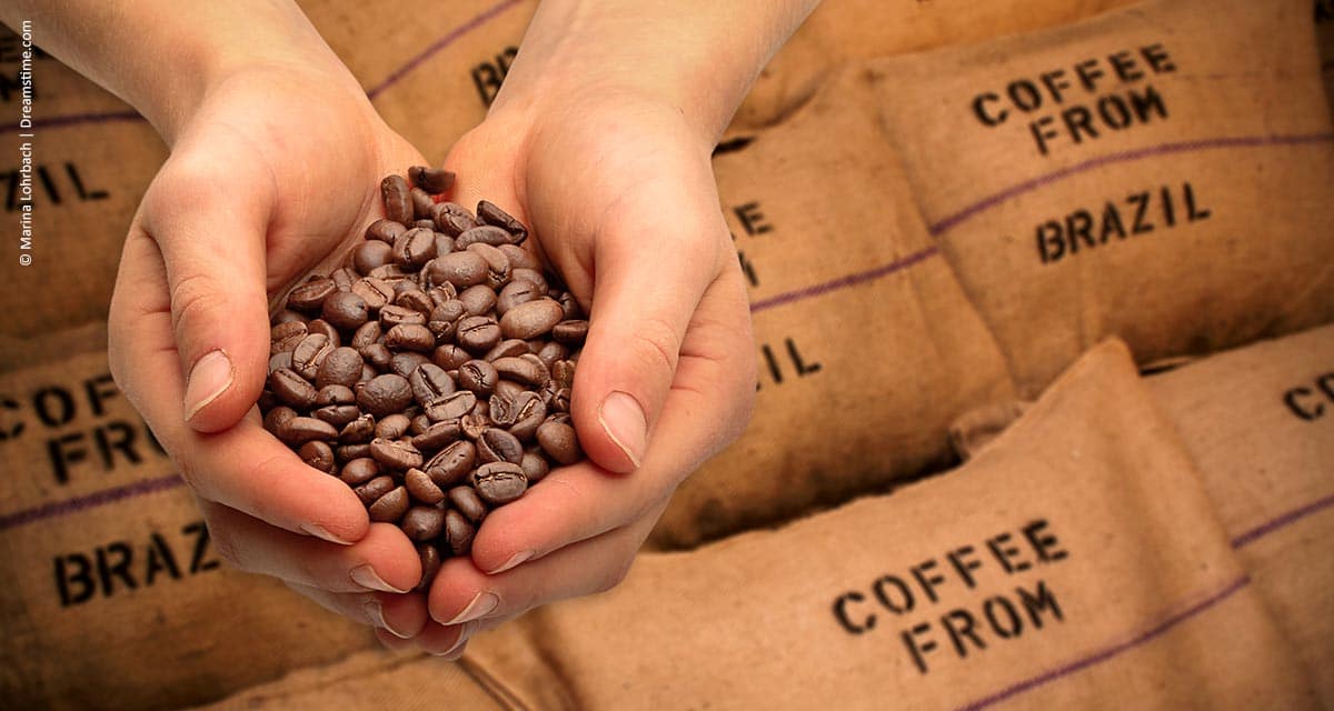 Receita cambial das exportações de café brasileiro cresceu 2,7% em abril