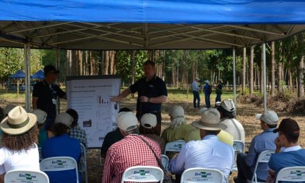 Sustentabilidade foi tema de Dia de Campo na Agrobrasília