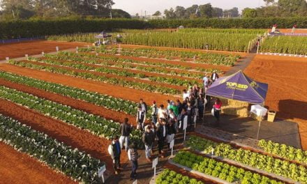 Agristar do Brasil apresenta novidades durante Open Field Day e Hortitec