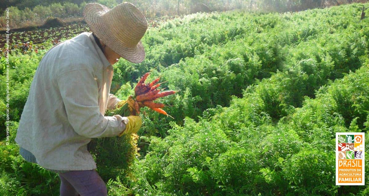 SEAD leva agricultores para maior feira de orgânicos da América Latina