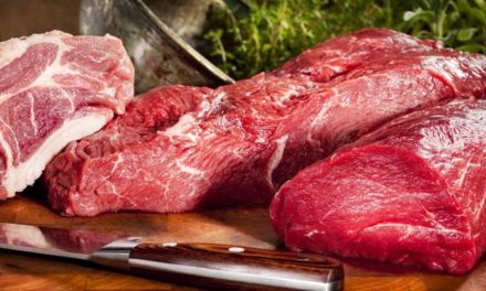 Alta de 27% nas exportações de carne bovina em maio