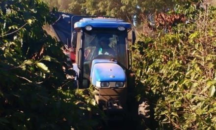 Tratores New Holland otimizam colheita de café em São Paulo