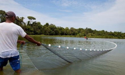 Piscicultura volta a crescer e safra pode render R$ 1 milhão a produtores de Laguna Carapã/MS