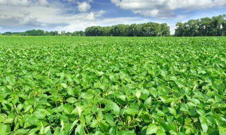 Instituições do Agro lançam Guia do Programa de Regularização Ambiental no MS