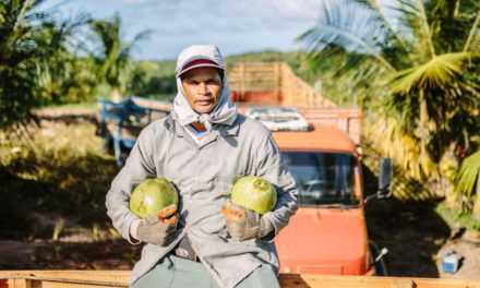 No Dia do Agricultor, Obrigado revela como funciona seu sistema de aristas