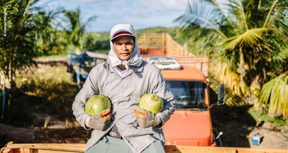 No Dia do Agricultor, Obrigado revela como funciona seu sistema de aristas