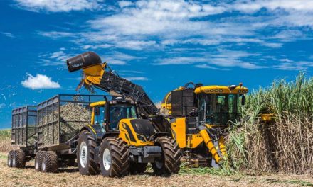 Pioneira, Valtra lança no país primeira colhedora para mudas de cana