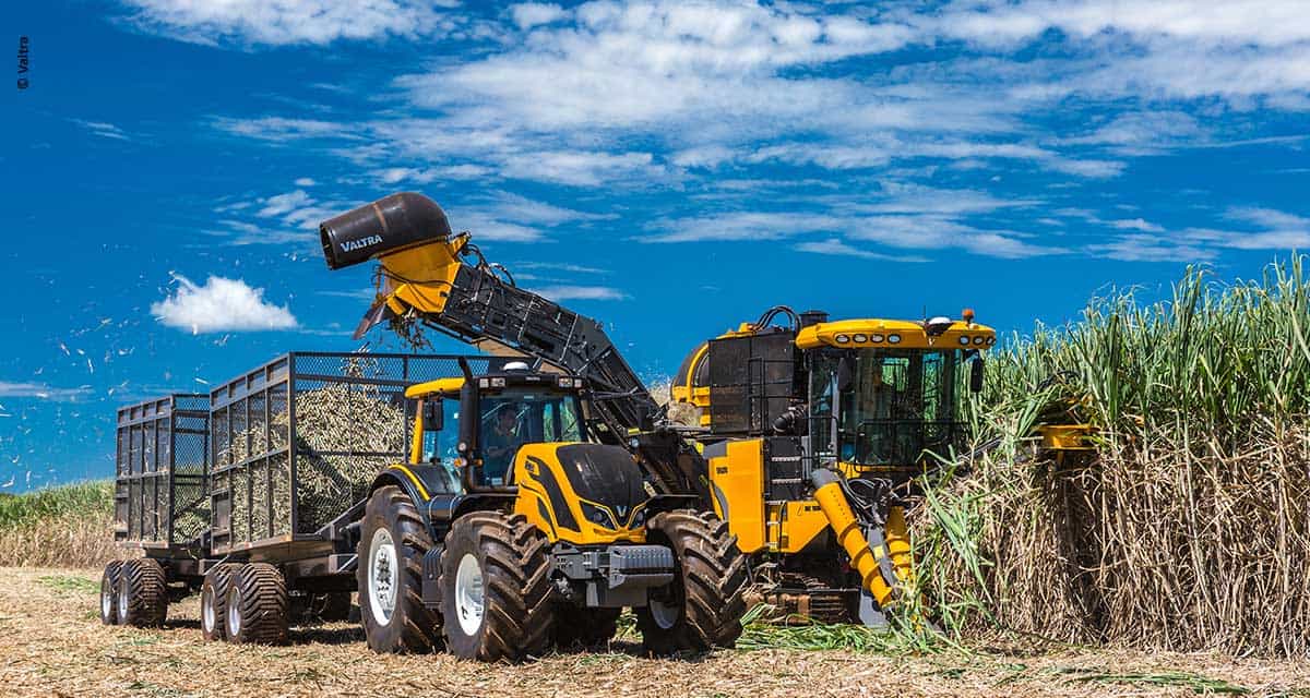 Pioneira, Valtra lança no país primeira colhedora para mudas de cana