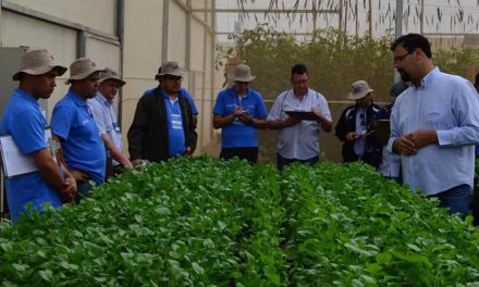 Encontro dos Técnicos reúne equipe para treinamentos de campo e de gestão em horticultura