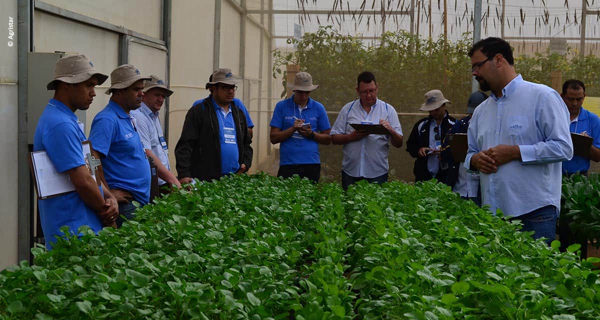 Encontro dos Técnicos reúne equipe para treinamentos de campo e de gestão em horticultura