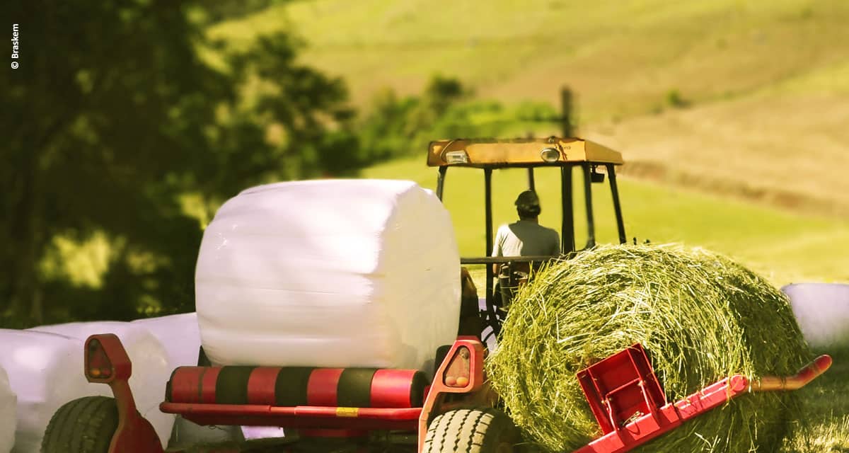 Solução Braskem para armazenamento de alimentação animal