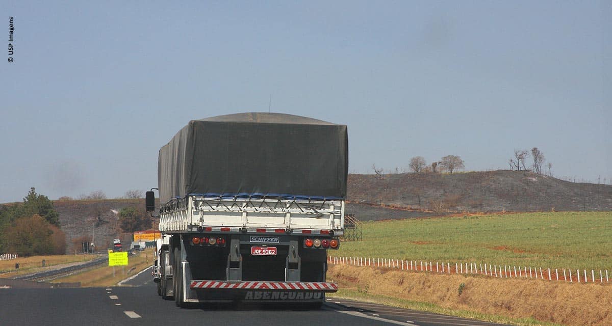 Corredores verdes para transporte de soja podem reduzir custos e impactos da atividade no Brasil