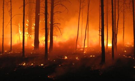 Secretaria do meio ambiente estabelece regras de responsabilidade ambiental por incêndios