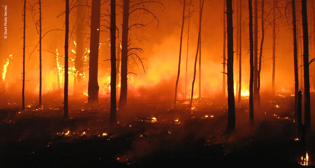 Secretaria do meio ambiente estabelece regras de responsabilidade ambiental por incêndios