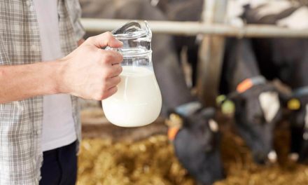 Governo de SP amplia prazo e itens de financiamento para atender necessidades do produtor de leite