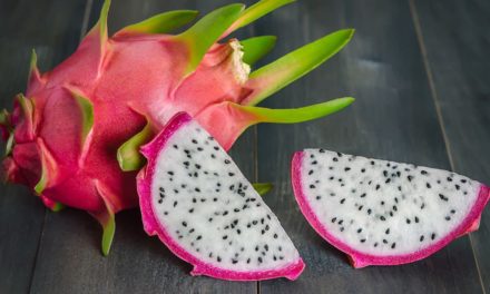 Produtor quer popularizar o preço da pitaya