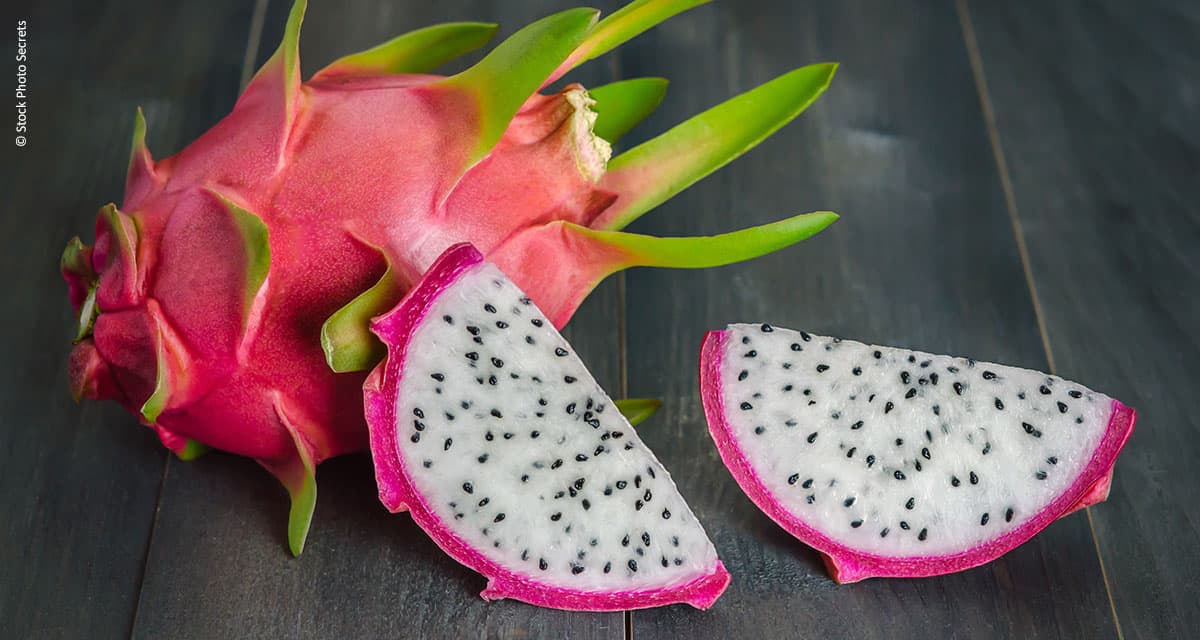 Produtor quer popularizar o preço da pitaya