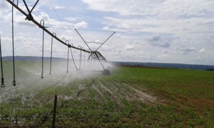 Oceana Brasil lança produto inovador em micropartículas para fertilização do solo com liberação imediata de nutrientes