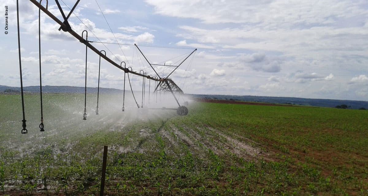 Oceana Brasil lança produto inovador em micropartículas para fertilização do solo com liberação imediata de nutrientes