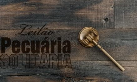 Leilão Pecuária Solidária volta às origens e será realizado no dia 12 de novembro em Gurupi (TO)