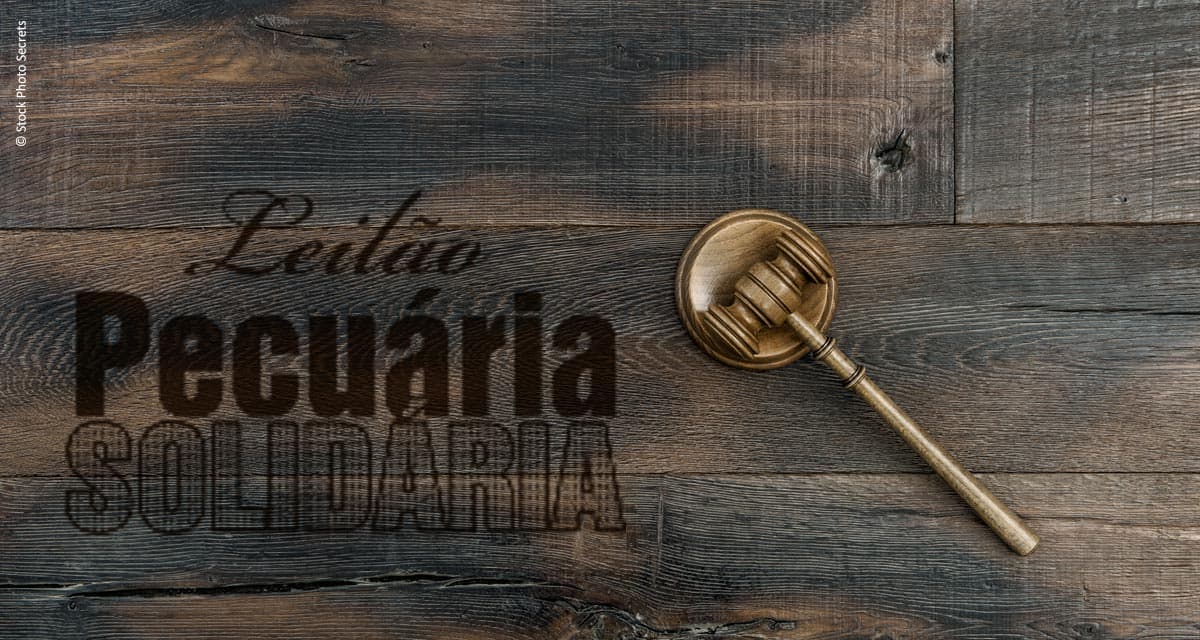 Leilão Pecuária Solidária volta às origens e será realizado no dia 12 de novembro em Gurupi (TO)