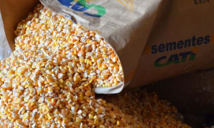 CATI inicia venda de sementes e mudas com desconto para agricultores familiares