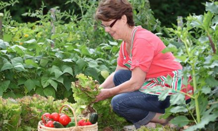 O crescimento da Agricultura Orgânica e a busca por uma alimentação saudável