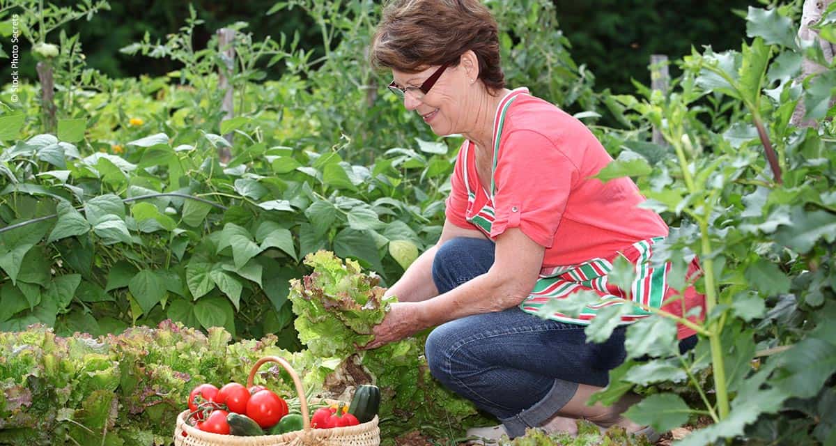 O crescimento da Agricultura Orgânica e a busca por uma alimentação saudável