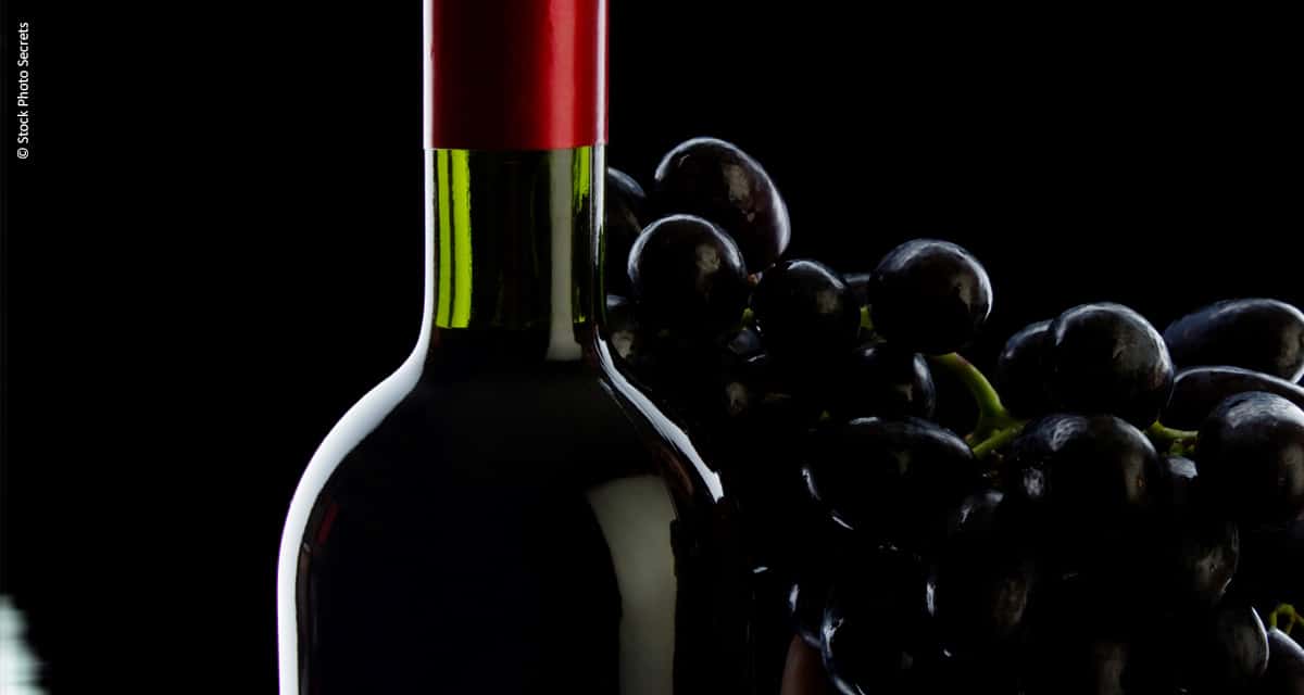 Ciência leva produção de vinhos para o agreste pernambucano
