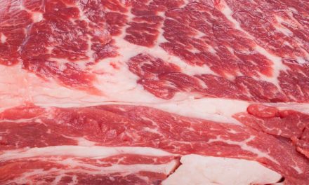 Exportações de carne bovina brasileira têm alta de 17% em setembro