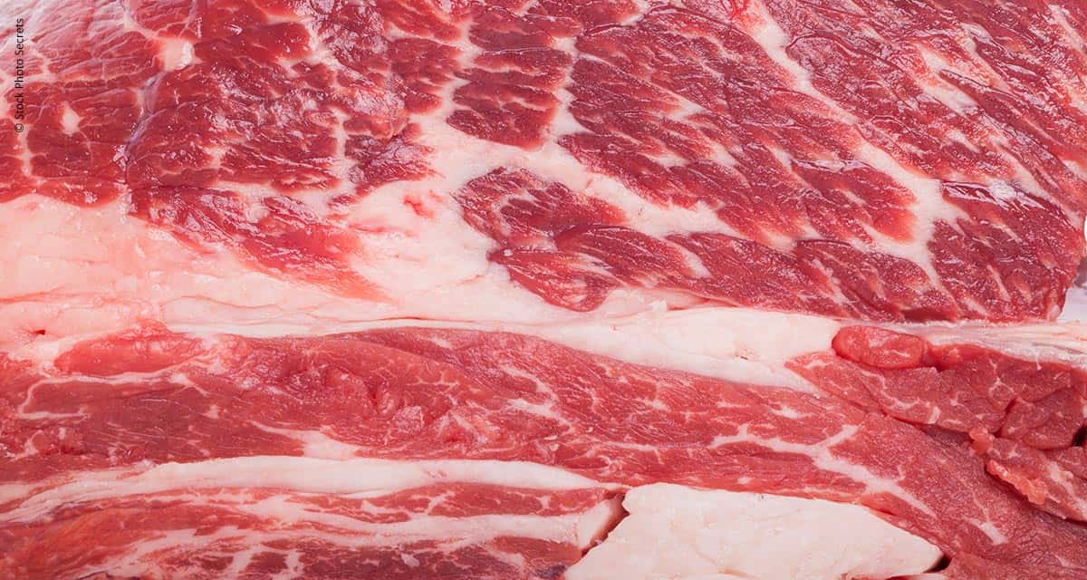 Exportações de carne bovina brasileira têm alta de 17% em setembro