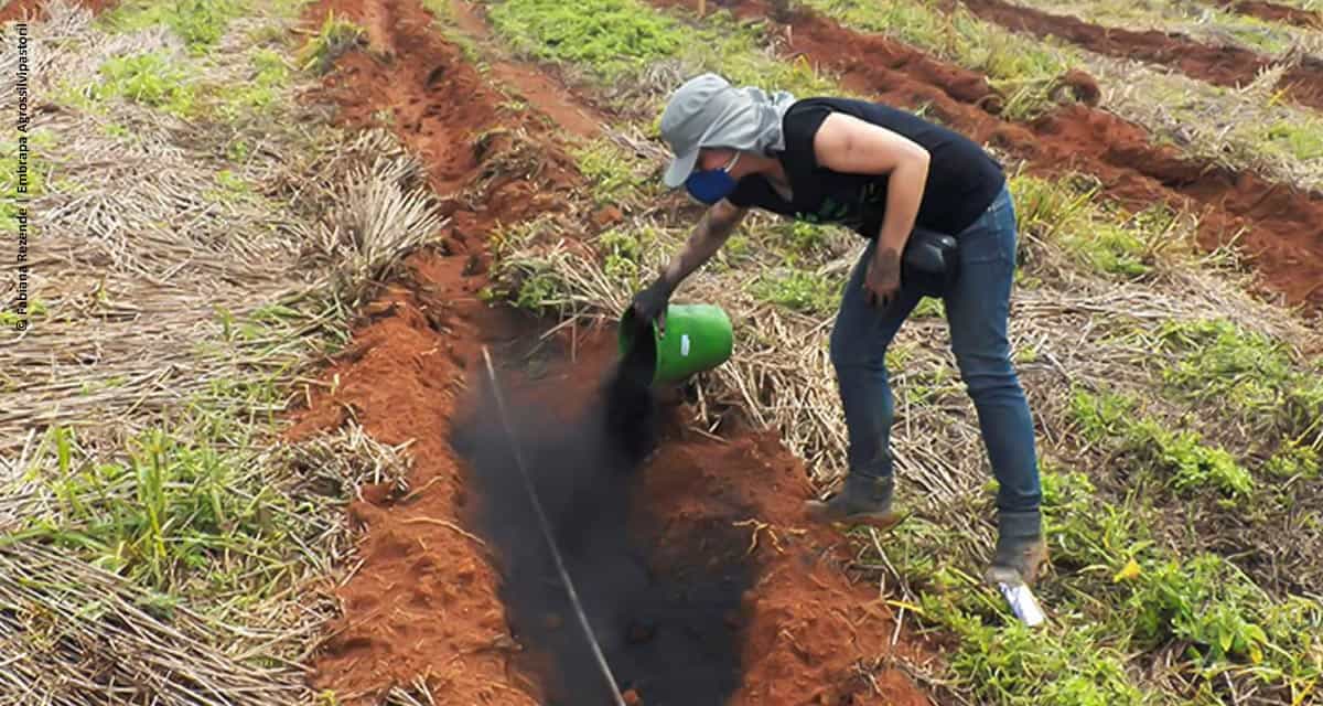 Biocarvão feito com resíduos é testado como condicionador de solo