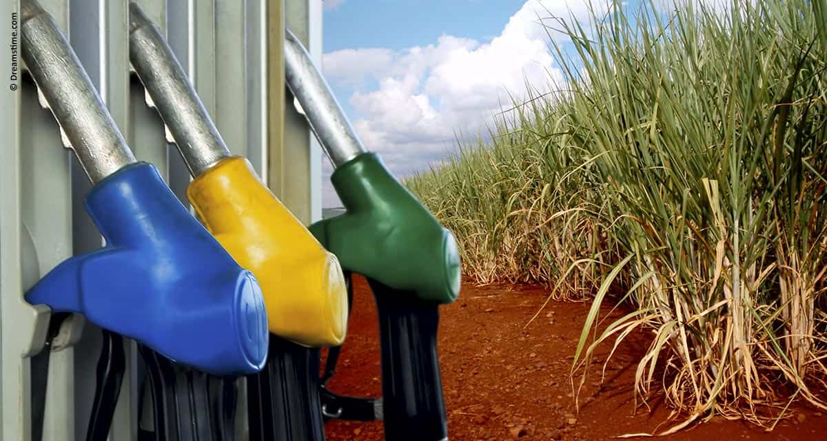 Etanol brasileiro pode substituir 13,7% do petróleo consumido no mundo